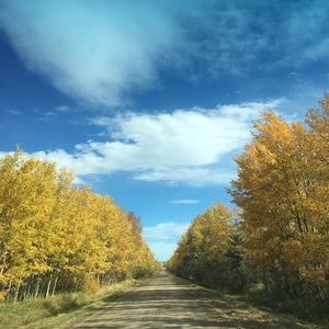 Meet your Posher, Danica